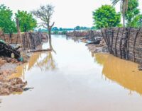 NEMA: Over 300 killed, 100,000 displaced by flood since January