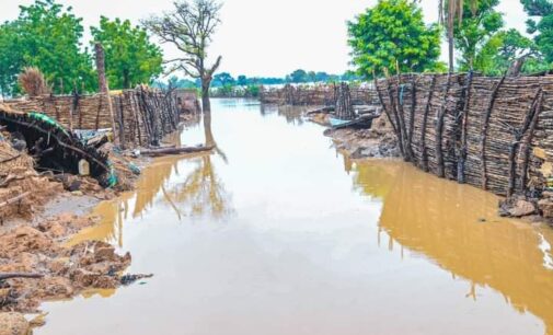 NEMA: Over 300 killed, 100,000 displaced by flood since January