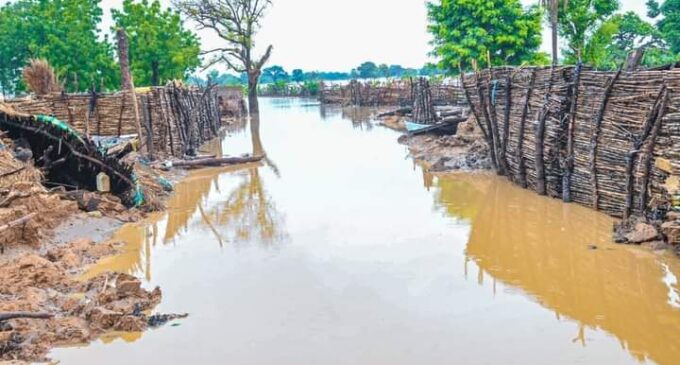 ‘Over 100 communities hit in a day’ — NEMA expresses concern over flood statistics