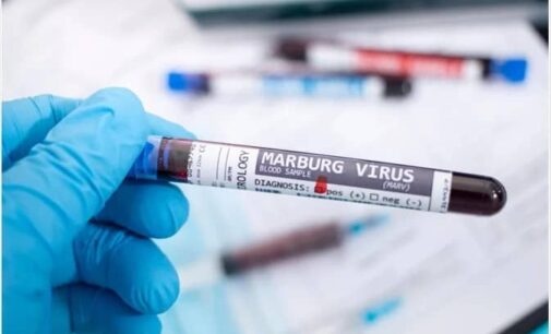 Child infected with Marburg virus in Ghana dies