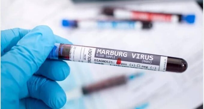 NCDC: Nigeria at moderate risk of importing Marburg virus from Equatorial Guinea