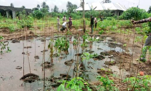 PHOTOS: Residents scoop as fresh ‘oil spill’ hits Rivers community