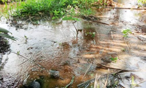 NOSDRA: Trans-Niger pipeline leak in Bodo community was caused by third-party interference