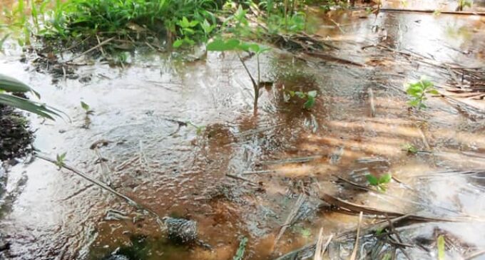 NOSDRA: Trans-Niger pipeline leak in Bodo community was caused by third-party interference