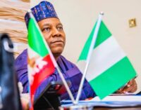 Group: Opposition looking for dirt on Shettima because he has unsettled them