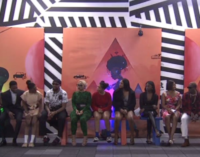 BBNaija: 8 housemates up for eviction as Chichi saves Daniella, Phyna for finale