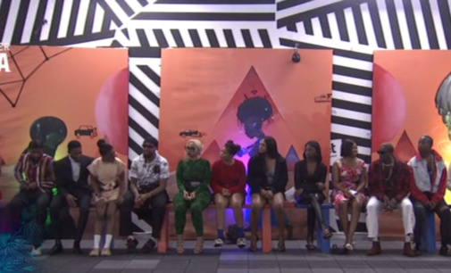 BBNaija: 8 housemates up for eviction as Chichi saves Daniella, Phyna for finale