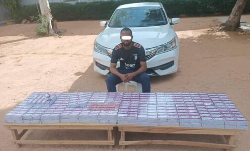 Police arrest Kano resident with tramadol tablets ‘worth N25m’