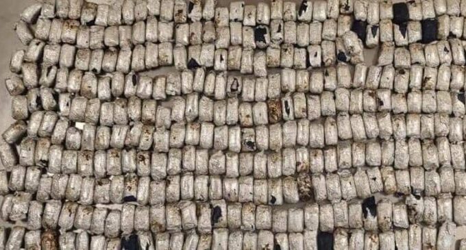 NDLEA uncovers 442 parcels of meth hidden in smoked fish at Lagos airport