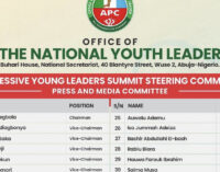 APC youth leader, deputy clash over ‘Yoruba-dominated’ summit list
