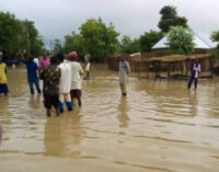 Flood kills three, destroys 1,453 houses in Bauchi