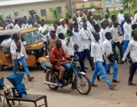 PHOTOS: Bauchi students protest plan to separate boys from girls in schools