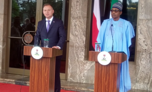 Russia-Ukraine war: Nigeria, Poland sign agreements on agriculture, gas