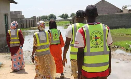 Over 16,000 displaced as flood hits 14 LGAs in Borno