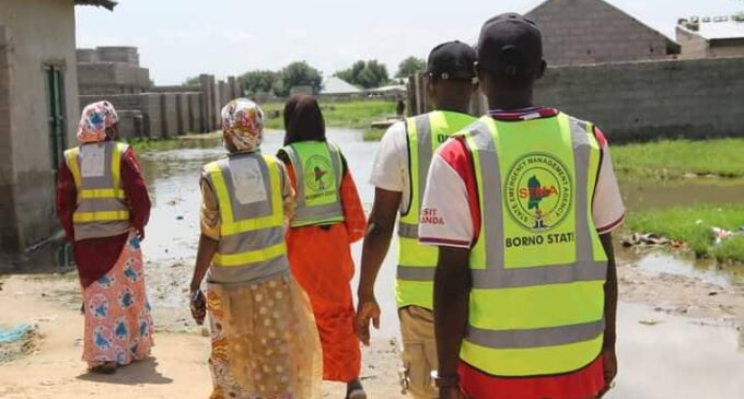 Over 16,000 displaced as flood hits 14 LGAs in Borno