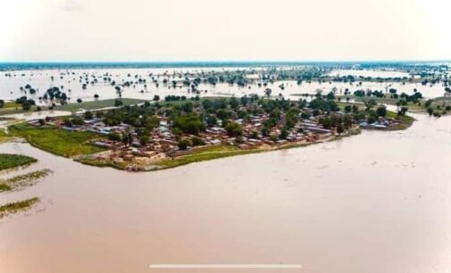 Flooding: Rights group calls on international agencies to help Nigeria