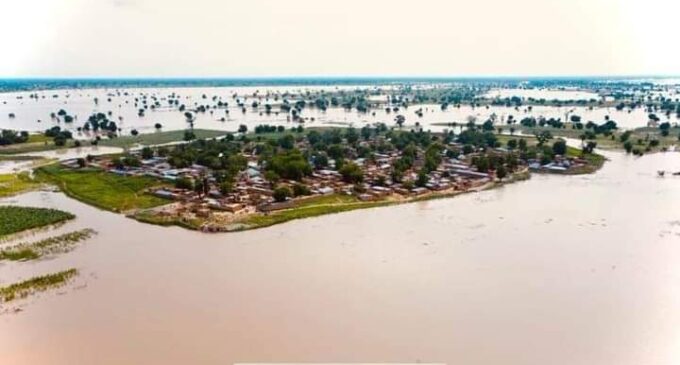 Flooding: Rights group calls on international agencies to help Nigeria