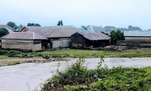 NEMA: Seven killed, many displaced in Niger flood
