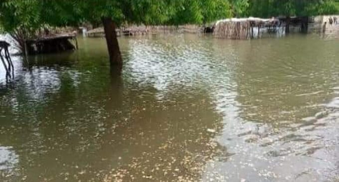‘Sad, unfortunate incident’ — Tinubu mourns victims of Jigawa flood