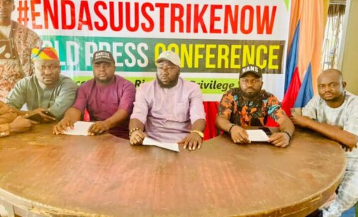 NANS to FG: No political rally will hold if ASUU strike not resolved in two weeks