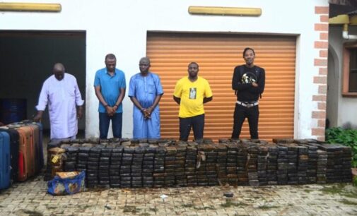 NDLEA seizes cocaine ‘worth N194bn’ in Lagos — presumed biggest in agency’s history