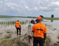 NEMA: 13 states to record heavy flooding as Cameroon opens Lagdo dam