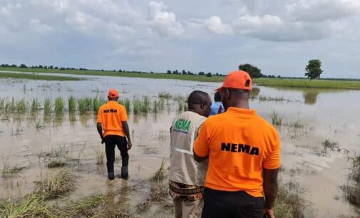 NEMA: 13 states to record heavy flooding as Cameroon opens Lagdo dam