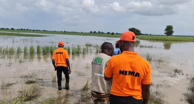 NEMA’s proactive measures are paying dividends this rainy season