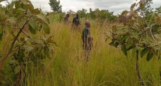 Three kidnap victims rescued as troops raid hideout in Kaduna