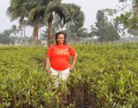 SPOTLIGHT: Martha Agbani, the Ogoni activist empowering women through mangrove restoration 