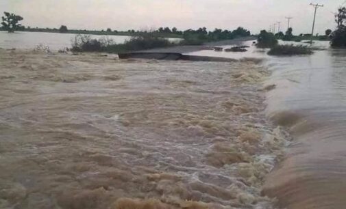 Commuters stranded as flood destroys road in Yobe