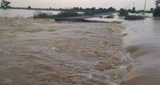 Commuters stranded as flood destroys road in Yobe