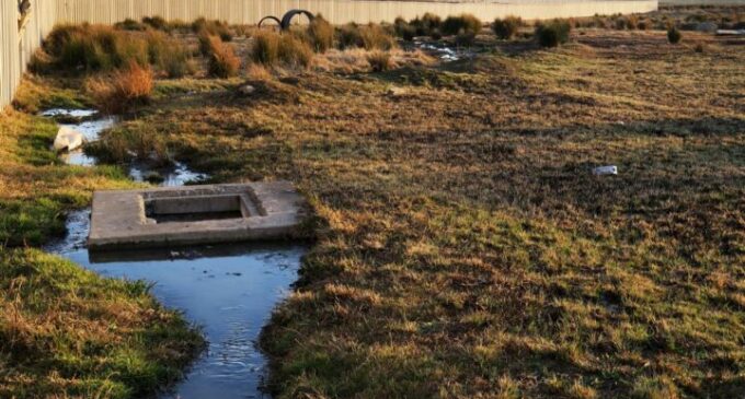 SEWAGE SWAMPS: How South Africa’s waste water crisis is making life unbearable