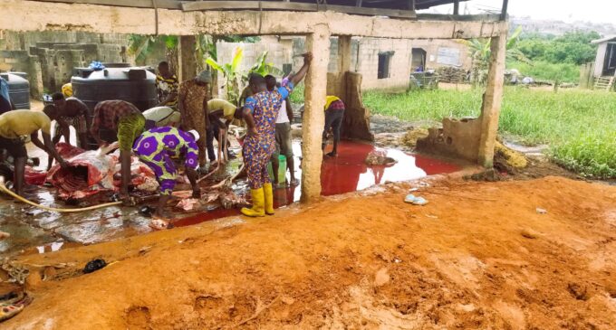 INSIDE STORY: How poorly-managed abattoirs threaten lives in Lagos