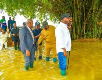 ‘Identify philanthropists, reach most affected victims’ — PANDEF sets up flood relief committee
