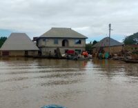 Flood: Thieves, reptiles threaten lives in Bayelsa community 