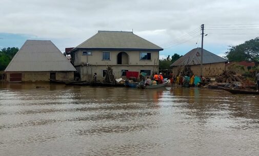 Flood: Thieves, reptiles threaten lives in Bayelsa community 