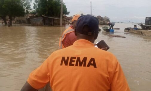 PHOTOS: NEMA officials carry out flood assessment in Imo, Bayelsa, Borno