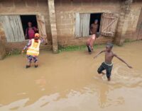 Flood: 1.5m Nigerian children at risk, says UNICEF