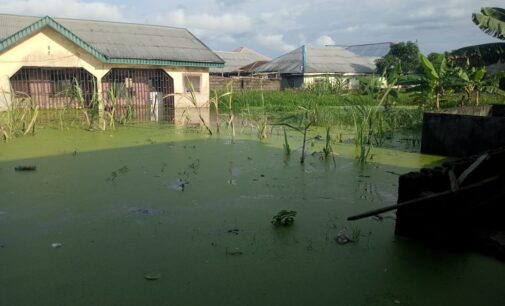 PHOTOS: Residents displaced, properties destroyed as flood hits Bayelsa community