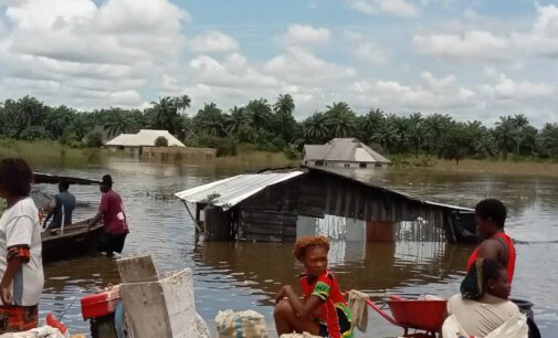 ‘We’re now refugees’ — Imo community laments as flood sacks houses, farmlands