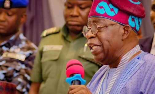 Tinubu: PDP, a party of termites, can never return to power