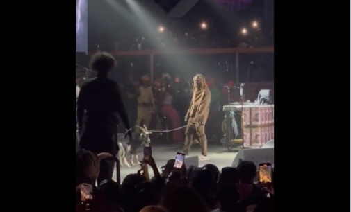 VIDEO: Asake performs on stage in US with a goat