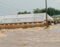 42 killed as flood hits communities in Niger, Katsina