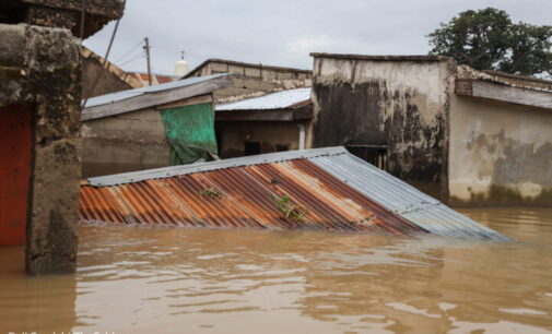 Five killed as flood wreaks havoc on Adamawa communities