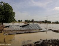 How climate change caused displacements in 2023