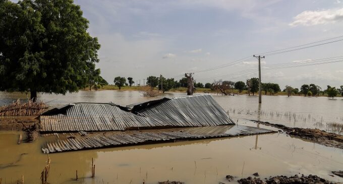 NEMA, emergency corps collaborate to address flooding in Gombe