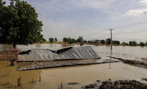 The great flood: Africa’s giant grapples with imminent food insecurity, inflation 