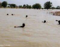 UNICEF: Over 800k children displaced by flooding in Nigeria