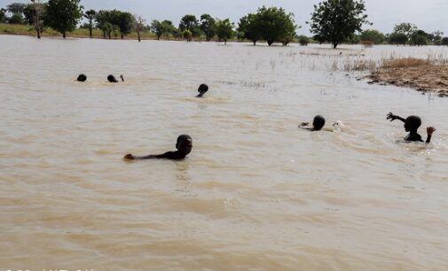 UNICEF: Over 800k children displaced by flooding in Nigeria